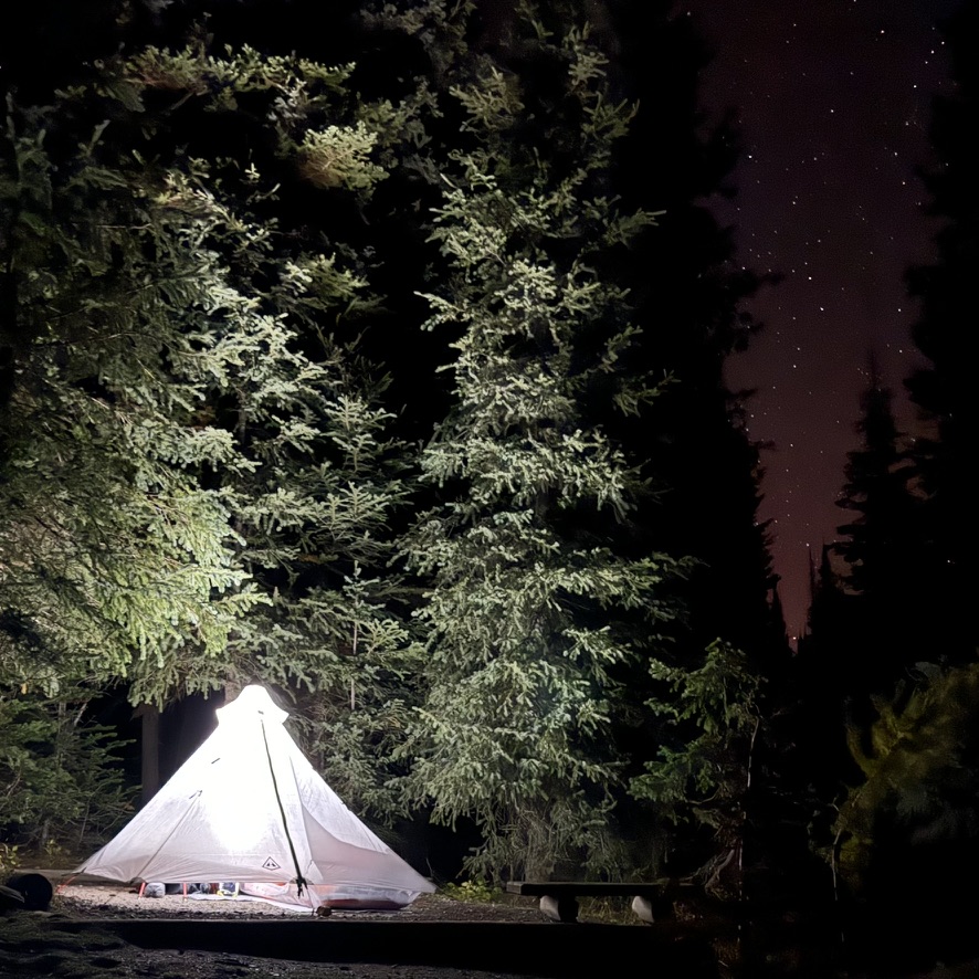 A lit tent under spruce trees and stars