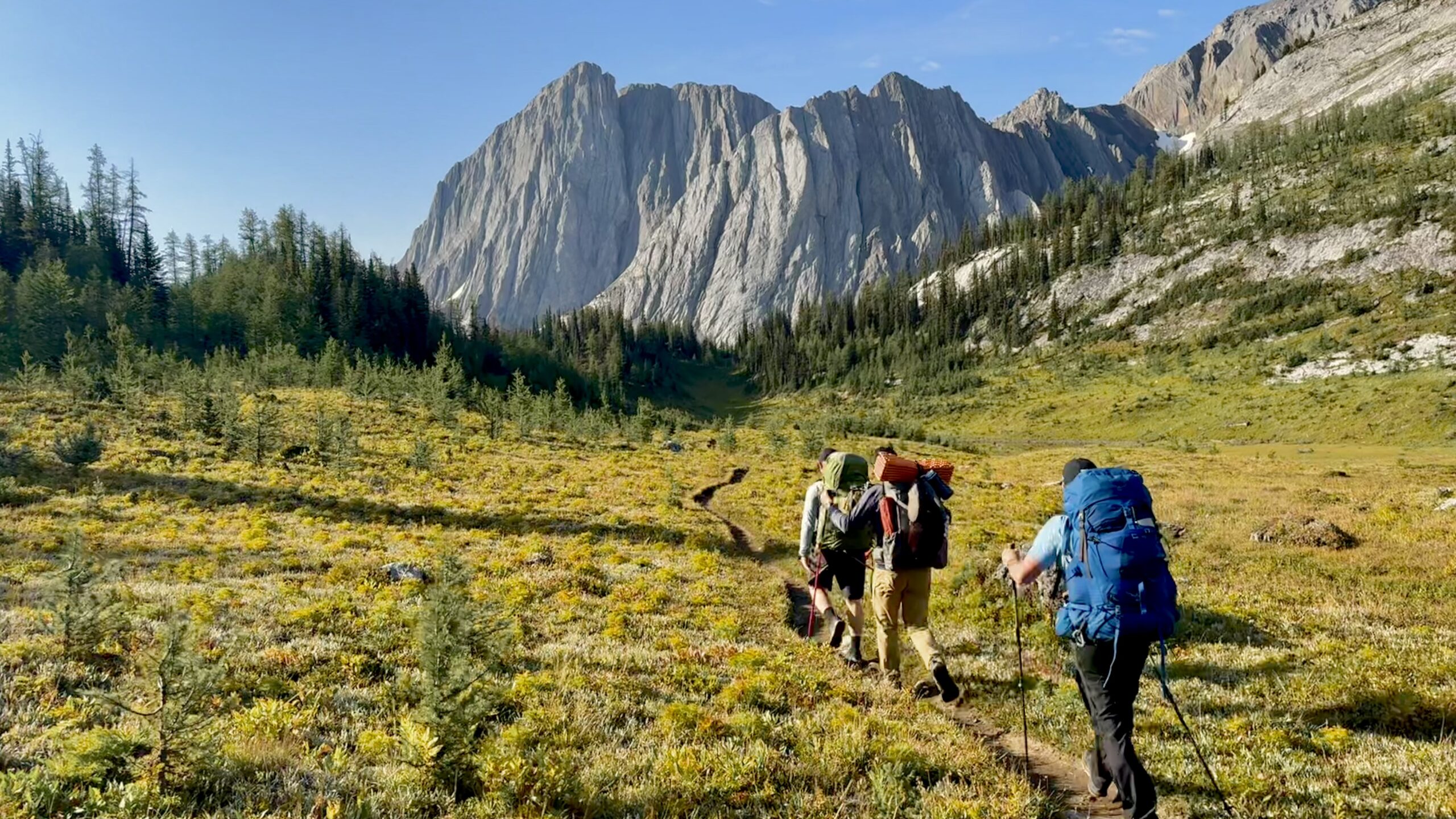 Three hikers on a trail through an alpine meadow in Kananaskis